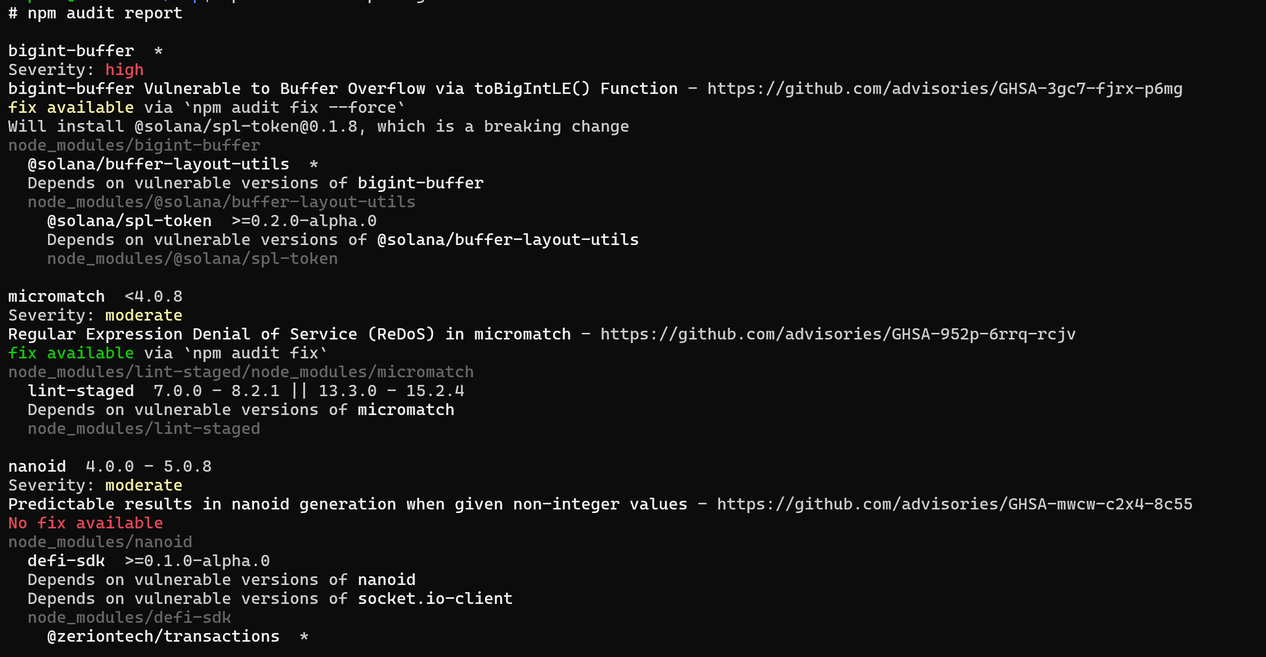 NPM Audit